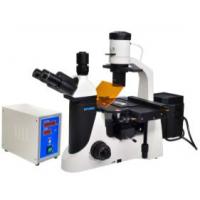 China Epi LED Fluorescent Microscope Trinocular 40X 1000X Biology Lab Microscope factory