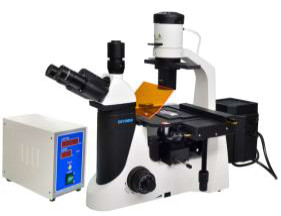 Quality Epi LED Fluorescent Microscope Trinocular 40X 1000X Biology Lab Microscope for sale