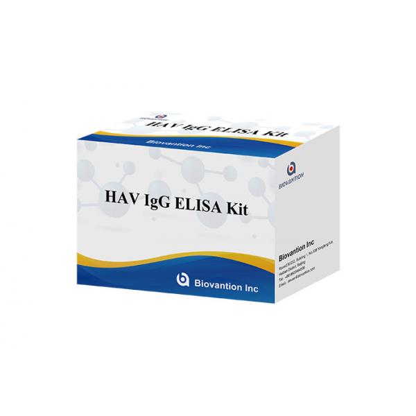 Quality HAV IgG Elisa Kit Antibody Diagnostic Kit For Hepatitis A Virus for sale