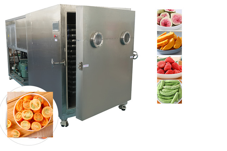 China Sublimation Industrial Food Vacuum Freeze Dryer Air Cooling factory