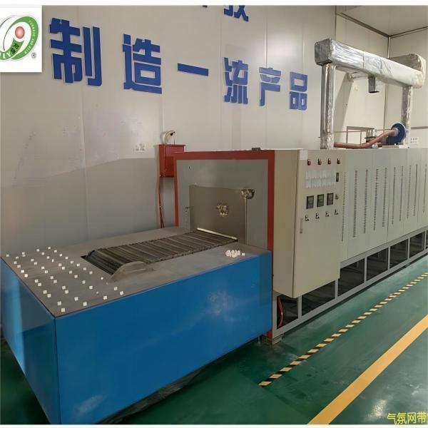 Quality Customized Chain Mesh Belt Furnace High Temperature Industrial Production Line For Ceramics for sale