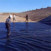 China Best HDPE Geomembrane Roll for Fish Liner Durable and Environmentally Friendly factory