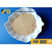 China Low Sugar Content Rice Protein Powder , Healthy Protein Additive For Diet Cattle factory