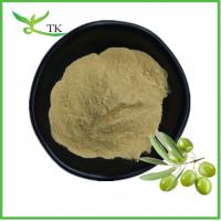 China Natural Plant Extract Powder Olive Leaf Extract Powder Oleuropein Capsules Supplement factory