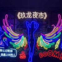 Quality Custom Neon Signs Custom Neon Design Acrylic Silicone Material 12V DC Easy for sale