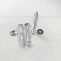 Quality Stainless Steel Self Tapping Screws for sale