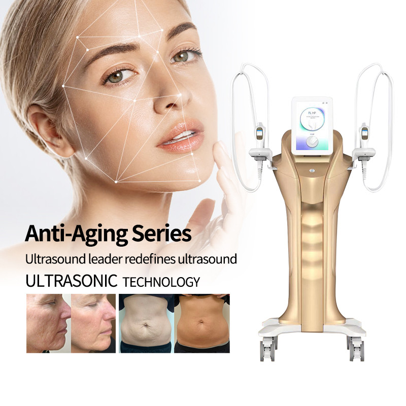 China Vertical Ultra Therapy Skin Tightening Hifu Treatment Machine 60W Family Use factory
