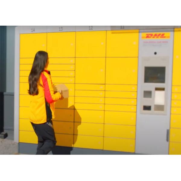 Quality DHL FedEx UPS International Express Freight Service From Guangzhou China To for sale