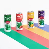 China Energy Drink Aloe Vera Juice Processing Natural Fruit Extracts Juice Containers factory