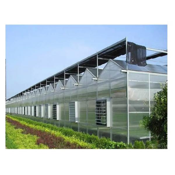Quality Water Resistance Glass Sheltered Greenhouse For Plant Cultivation for sale