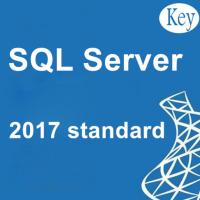 China 100%  Windows SQL Server Genuine Data Management , 2017 Windows Sql Server Management Studio factory