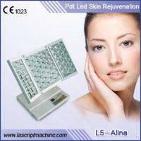 China Salon Skin Rejuvenation 25W PDT LED Light Therapy Machine factory