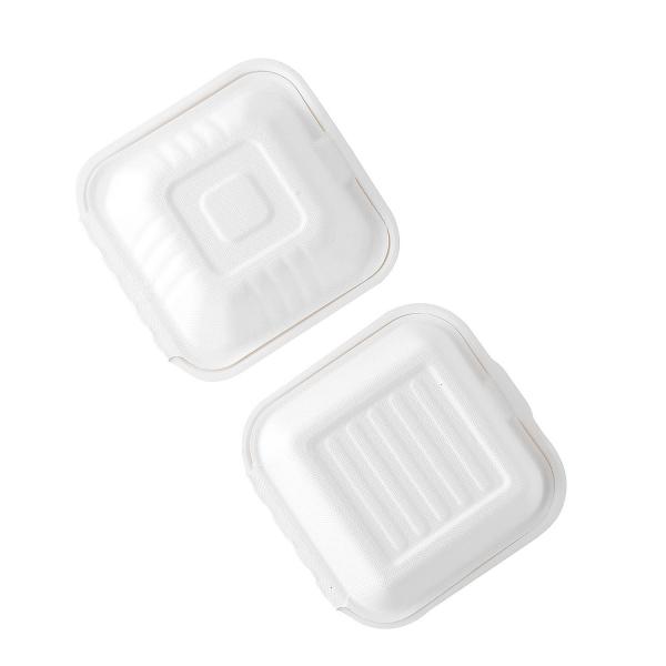 Quality Recycle Take To Go Sugarcane Bagasse Biodegradable Take Away Box Disposable for sale