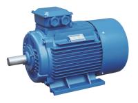 China Y2 series 3 three phase 2 pole asynchronous electric motor Y2-180M-2, Y2-112M-2 factory