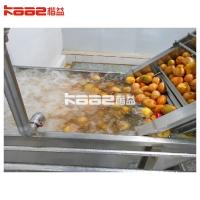 China 20T/H Mango Juice Production Line Mango Fruit Juice Processing Machine factory