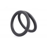 China FDA Colored Silicone O Rings Encapsulated , Industrial O Rings High Flexibility factory