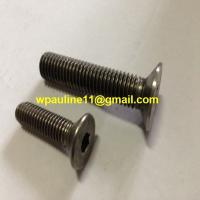 China AISI321 countersunk socket screws for sale