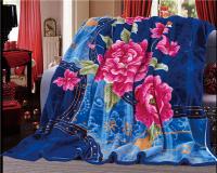 China New Printed Blankets 100% Polyester Woven Blanket Weight 4.7kg factory