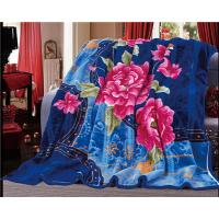China New Printed Blankets 100% Polyester Woven Blanket Weight 4.7kg factory