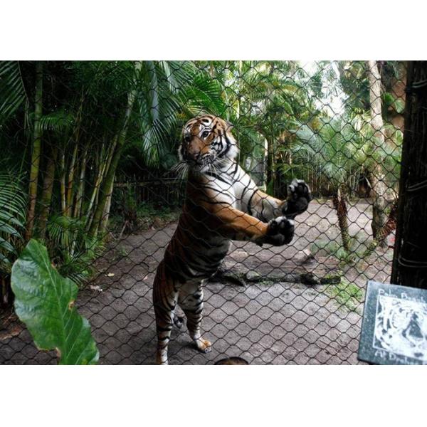 Quality Inox Kotted Zoo Wire Mesh Flexible Netting Customized Size For Tiger for sale