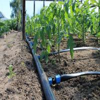 China Greenhouse Drip Irrigation System / Overhead Sprinkler System For Greenhouse factory