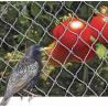 China PE Woven Anti Bird Net , Bird Proof Netting 100% New HDPE Material factory