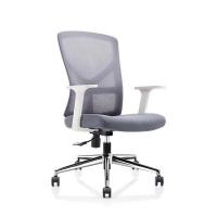 Quality Gray Swivel Mesh Back Office Chair With Lumbar Support And Armrest for sale
