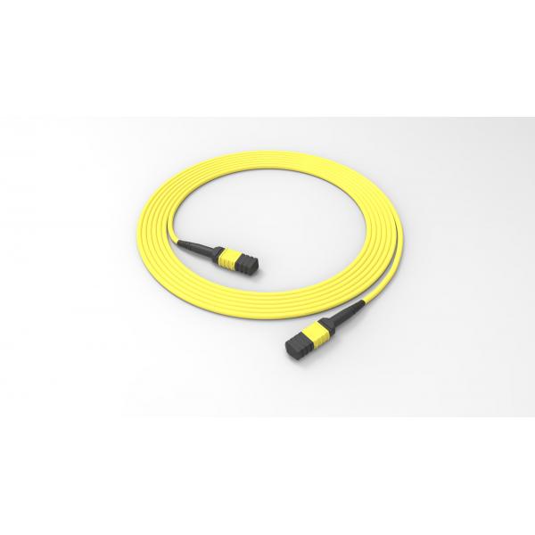 Quality 12 Core Trunk Fiber Optic Patch Cable LSZH Fiber Optic Cable MPO MTP Singlemode for sale