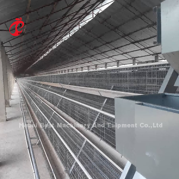 Quality Wholesale Q235 Steel Layer Battery Cage Price In Nigeria Long Lifespan Mia for sale