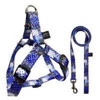 China Nylon Fashion Dog Harness Leash Collar Set Custom Pattern Line Style factory
