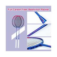 China Dmantis Hot Sell Badminton Racket Set Wholesale Factory Offer Carbon Fiber Frame for Play and Training factory