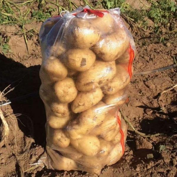 Quality 25kg Transparent Pp Woven Bag For Potato Onion Transparent Woven Bag for sale
