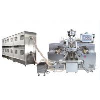 China Big Veggie Soft Gelatin Capsule Machine SS304 SS316L factory