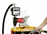 China Self - Priming Vane Pump / Heavy Duty Fuel Transfer Pump For Diesel &amp; Kerosene factory