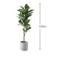 China Natural 120cm Height Pandurata Artificial Ficus Tree Landing Plant factory
