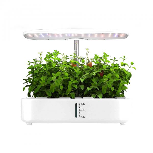 Quality 24w hydroponics growing system 12pods vegetable fruit home grow mini garden FULL SPECTRUM LARGE CAPACITY for sale