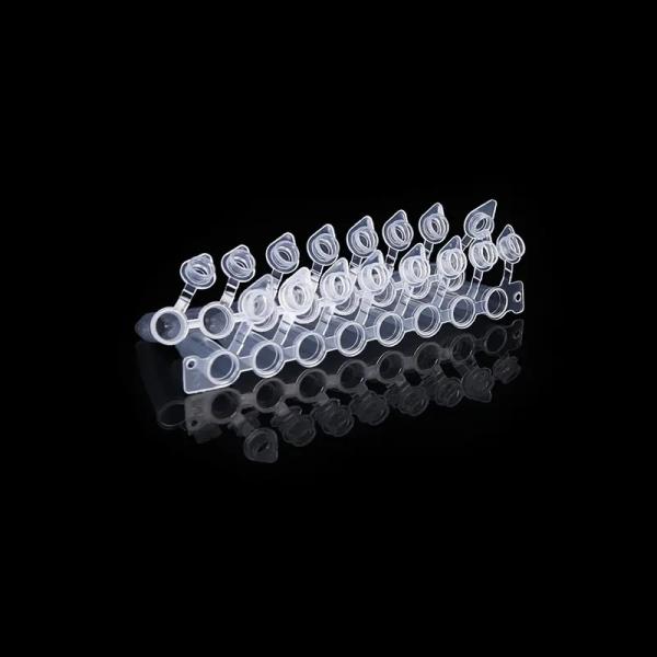 Quality Dome Shaped Caps 0.2ml PCR Tube 8 Strip With Attached Cap PCR Eight Connected Pipe for sale