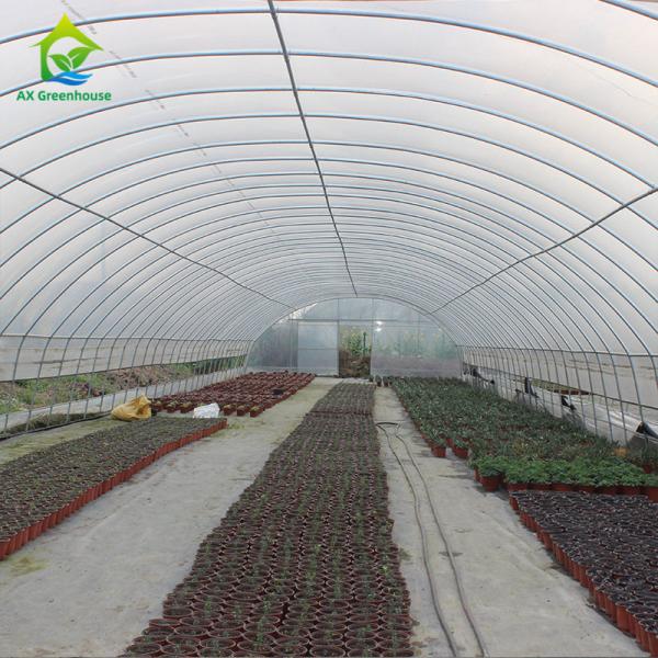Quality 8x30m Tomato Poly Tunnel Greenhouse 150-200micron Plastic Film Hemp Greenhouses for sale