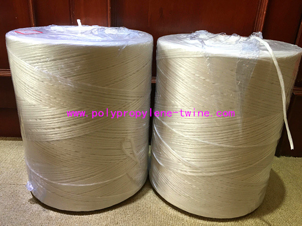 Quality White Cable Filler Yarn , PP Fibrillated Yarn Winding In Paper Tube Packing for sale