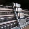 China Hot Selling A Frame Automatic Chicken Layer Cage Poultry Cages Hot Galvanized Steel factory