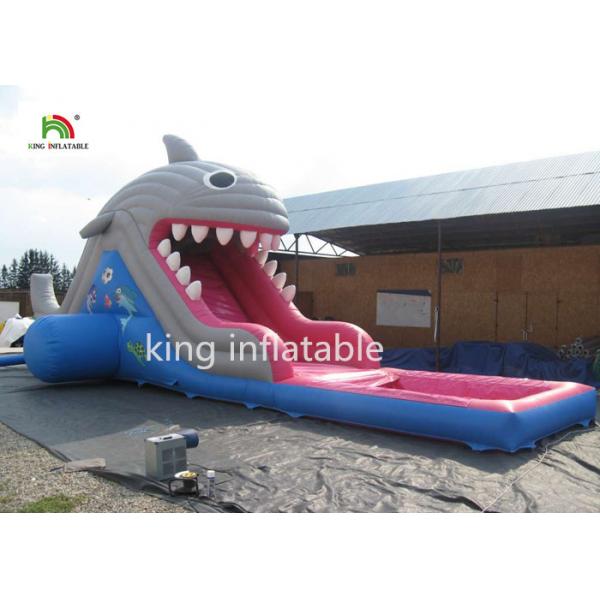 Quality 6m High Shark Inflatable Water Slide With Pool / Small Blow Up Slide For Kids for sale