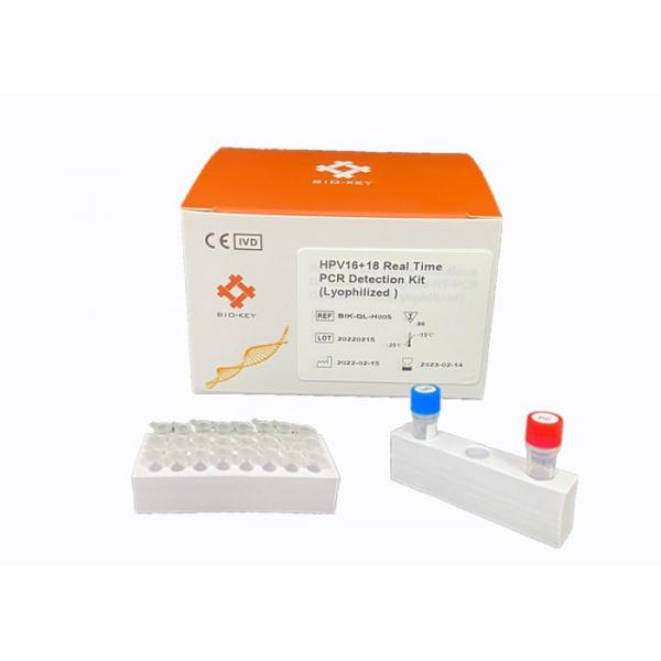 Quality Real Time HPV PCR Kit Dectect High Risk Genotyping HPV Virus Taqman Probe Assay for sale