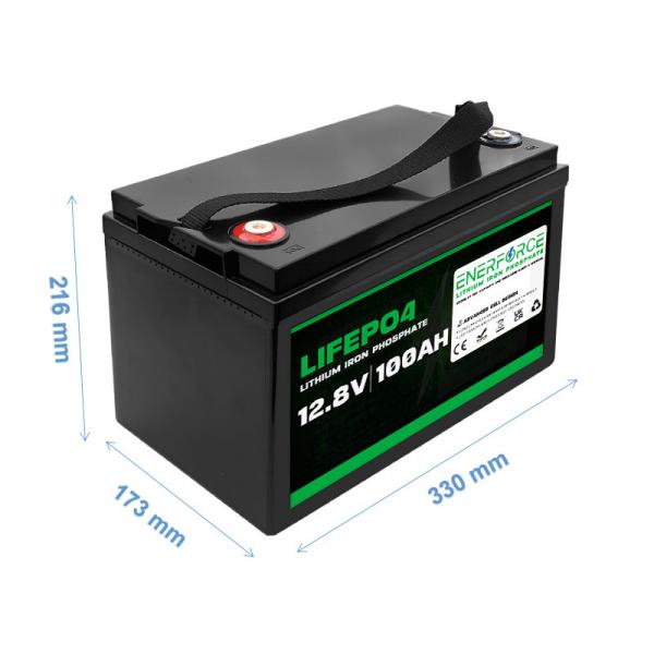 Quality Enerforce LFP 12V LiFePO4 Battery 100ah 11.66kg For Solar Power for sale