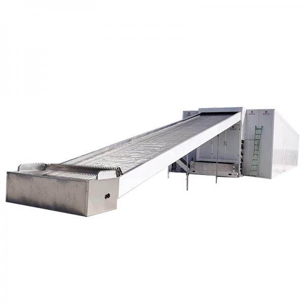 Quality Vegetables Chili Seafood Mesh Belt Dryer Intelligent Temperature Control for sale