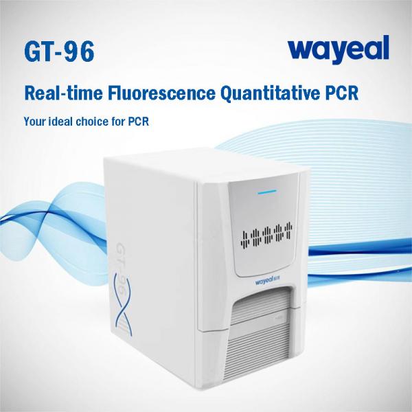 Quality Wayeal 96 Wells 5 Channels PCR Analyzer For Gene Test for sale