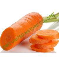 Quality new carrot, EXPORT carrot, Sweet carrot for sale