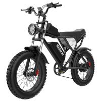 China 1000W 20 Inch Electric Bike 20MPH Adult Electric Bicycle 330lb Load factory