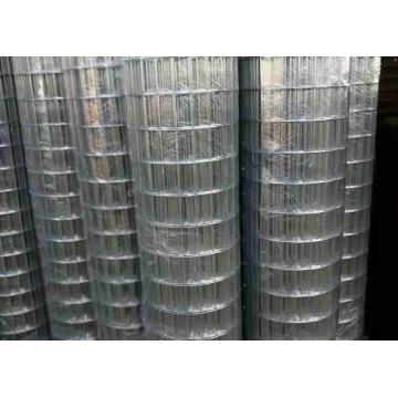 Quality Electric Galvanized 100 X 50 Welded Mesh Bright Color And Smooth Surface for sale