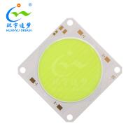 China Luring Fish COB LED Chip 22000K 54V 300W 500W High Power LED COB factory