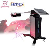 Quality Low Intensity Cold Laser Therapy Machine 405nm 635nm 10pcs Diodes LuxMaster for sale